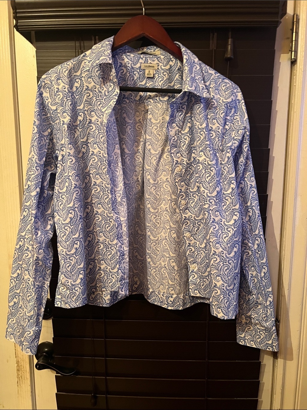 L.L. Bean Blue and White Paisley Shirt
